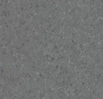 Линолеум Forbo Sphera Element 50006 anthracite фото 1 | FLOORDEALER